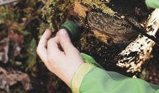 geocache