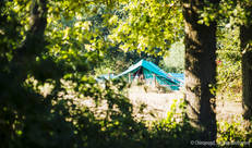 Tenten in groene omgeving
