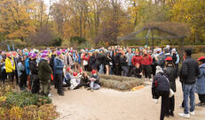 Groep Internationalen