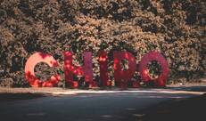 Chiroletters