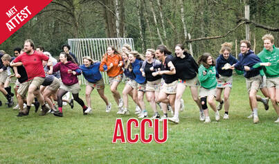 Banner Accu