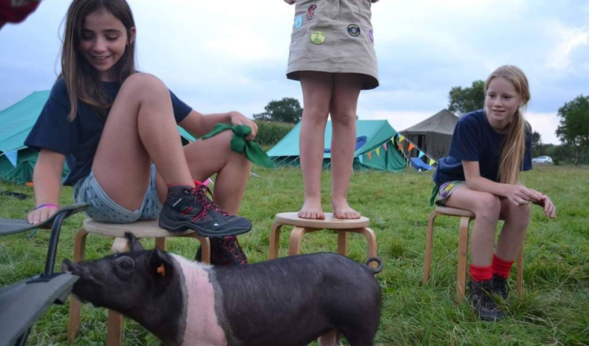 Chiromeisjes spelen met biggetje