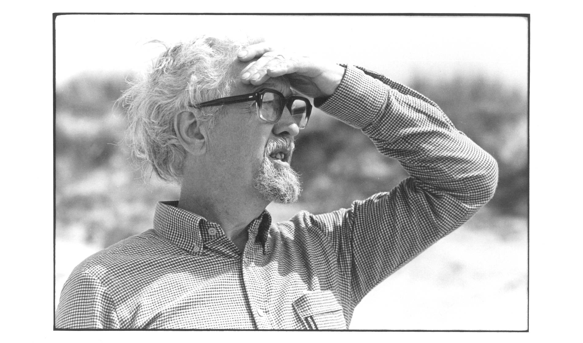 Arie Peeters
