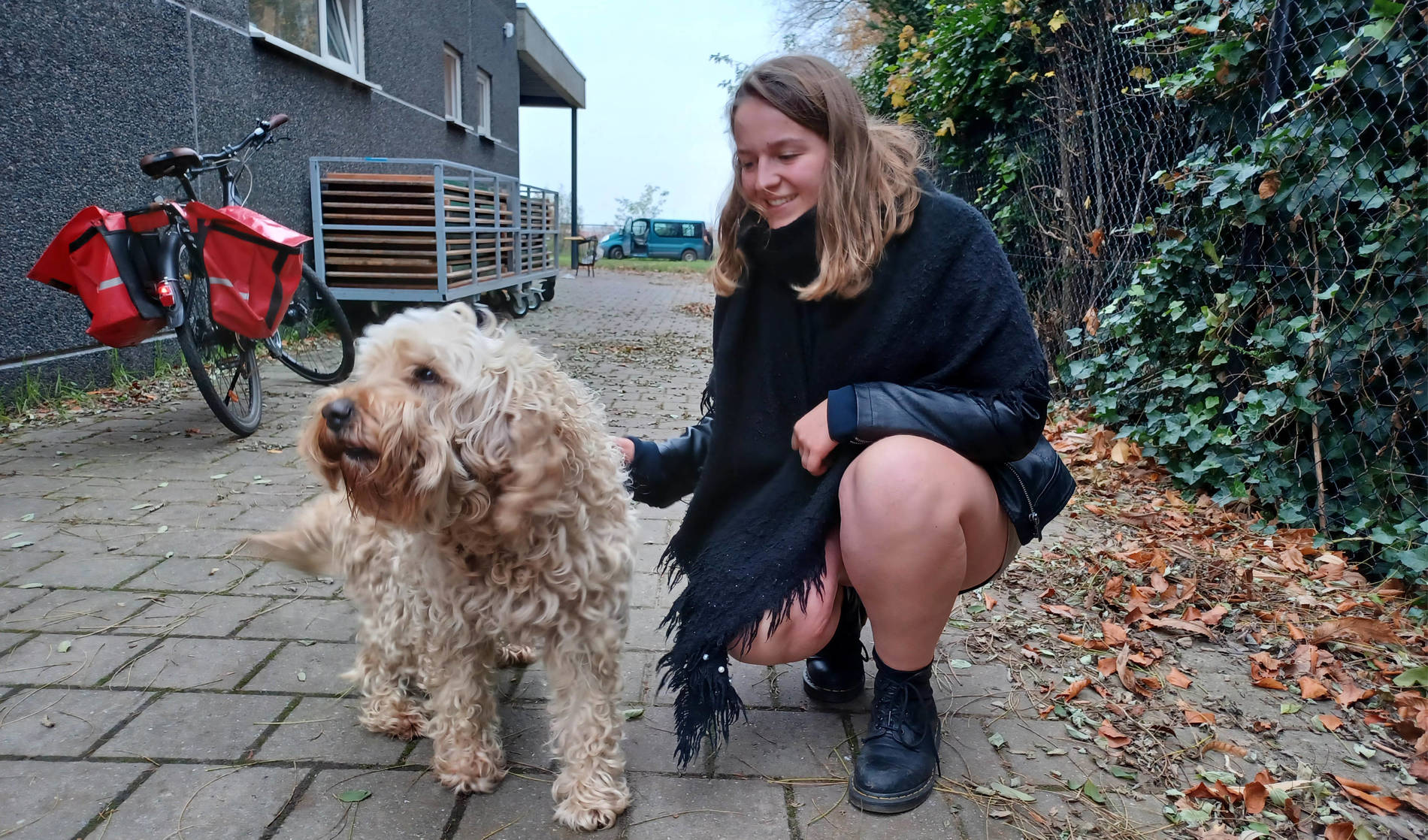 Hond van Fien