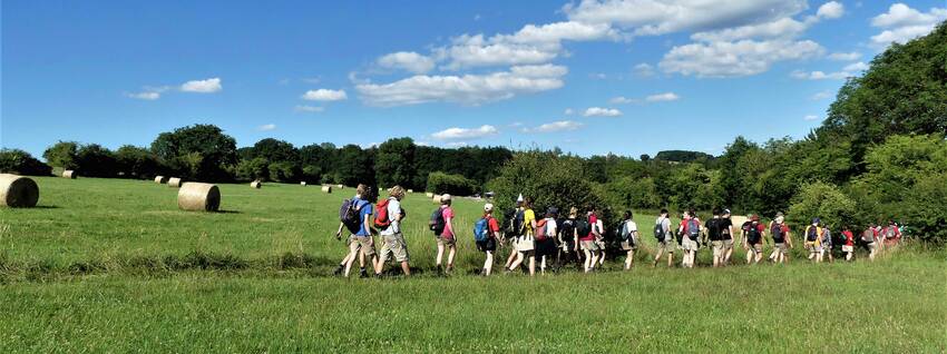 Wandelen in het groen
