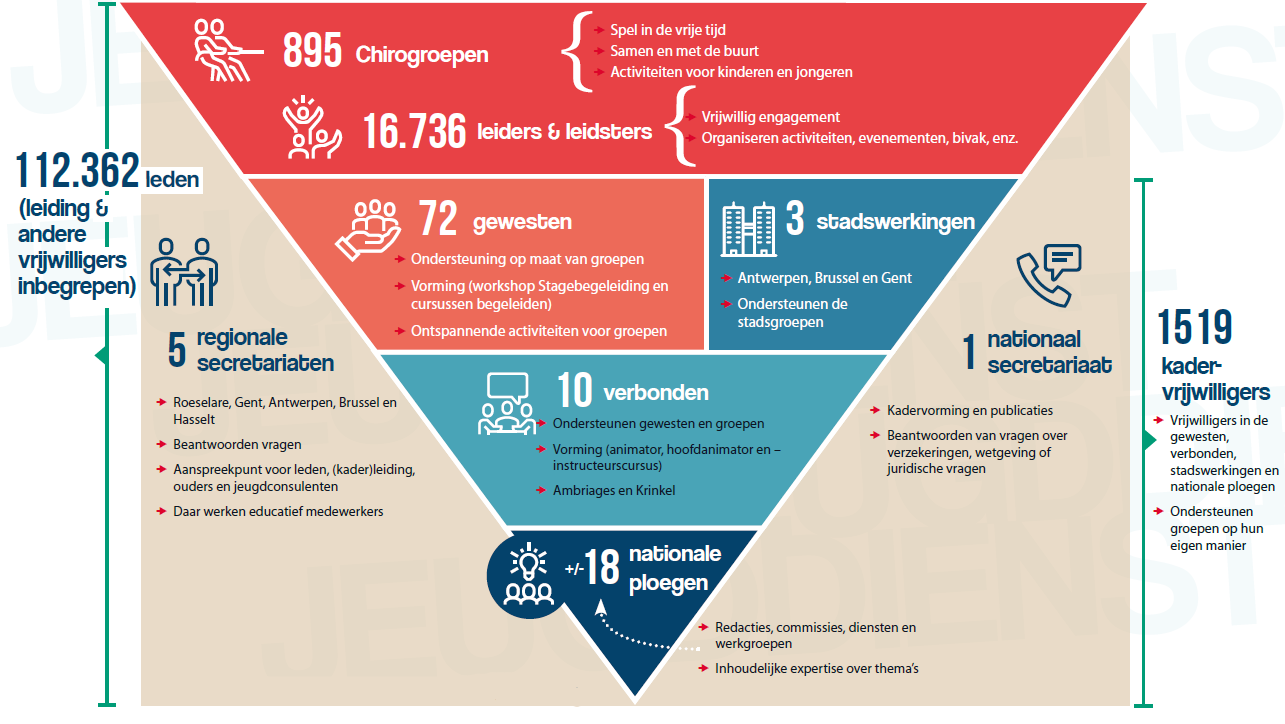 Schema Chirostructuur 2019