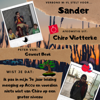 sander